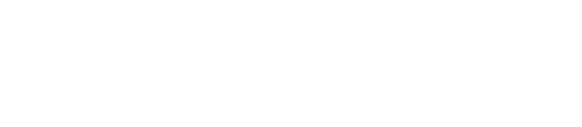 Flint Bishop Airport logo